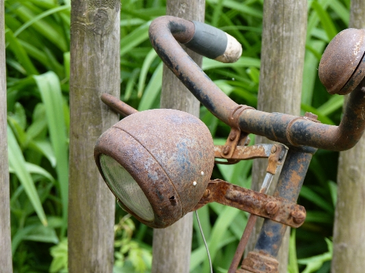 Tree branch wood wheel Photo