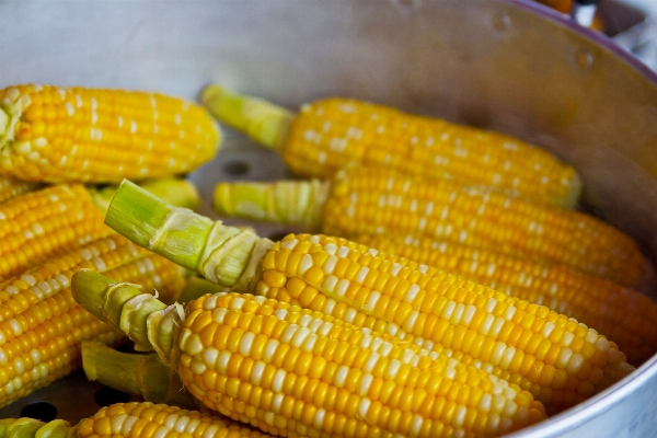 皿 食べ物 材料
 生産 写真