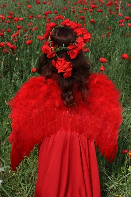 Grass plant girl flower Photo