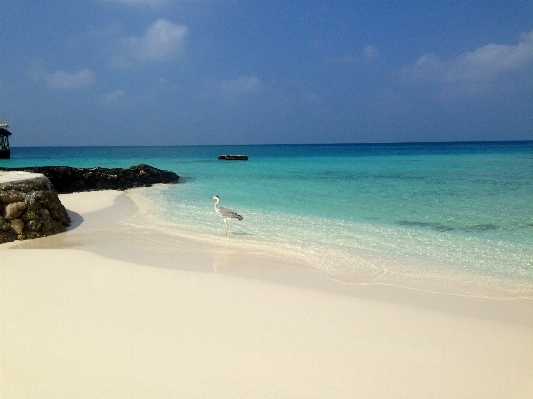 Beach sea coast water Photo