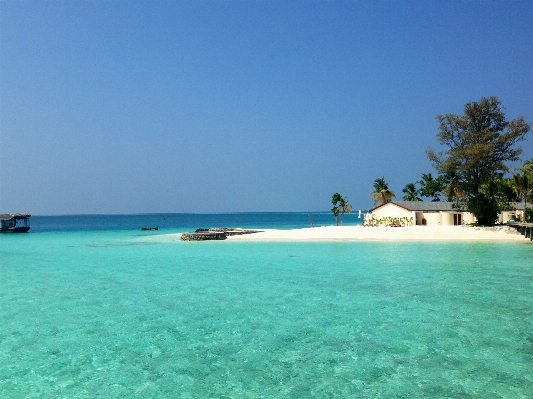 ビーチ 海 海岸 水 写真