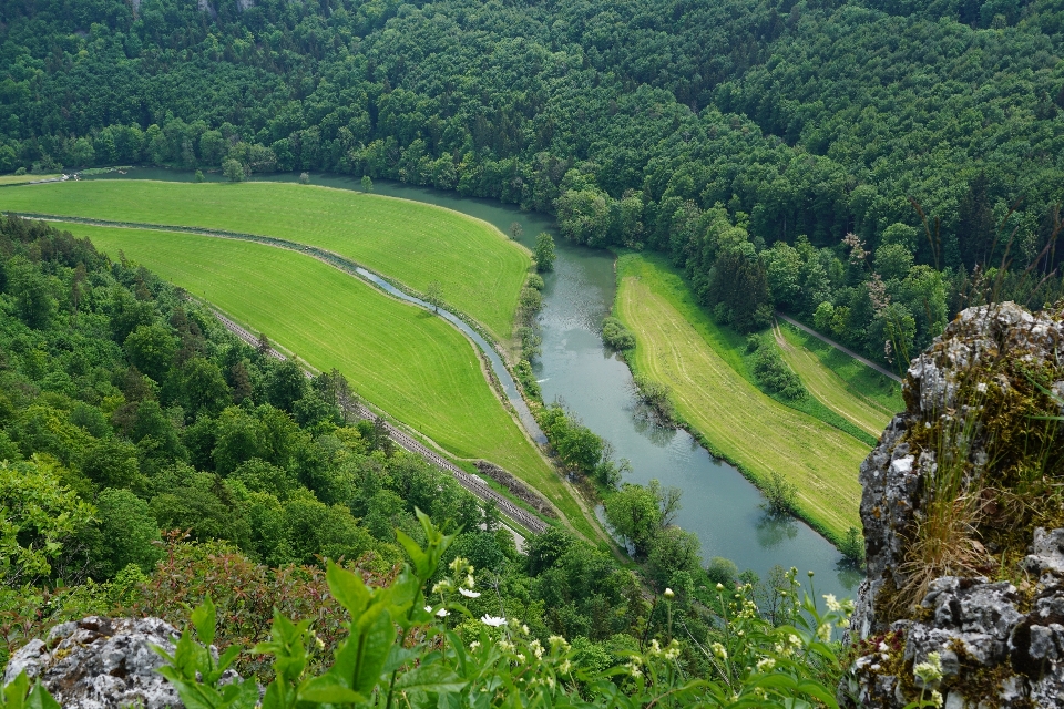 Landscape water nature forest