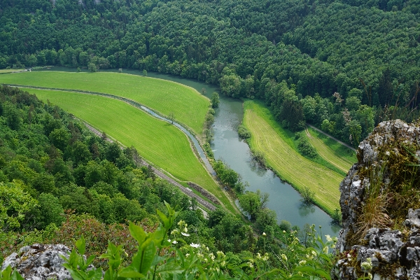 Landscape water nature forest Photo