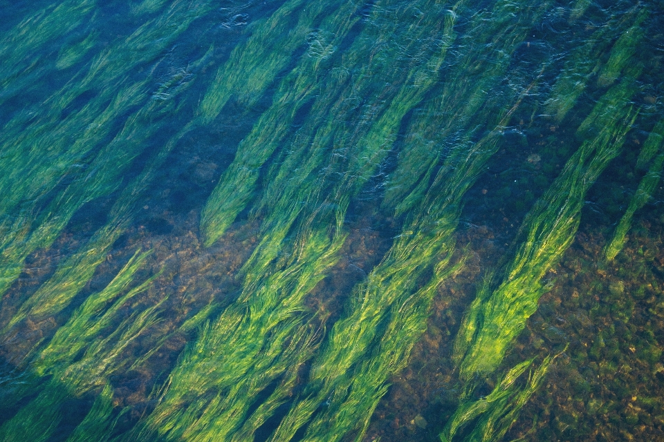 Landscape sea coast water