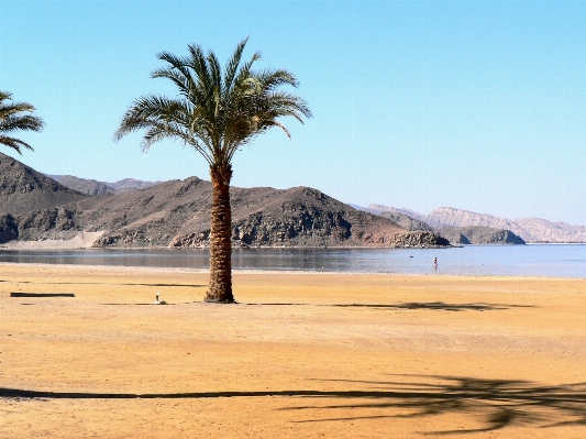 Beach landscape sea coast Photo