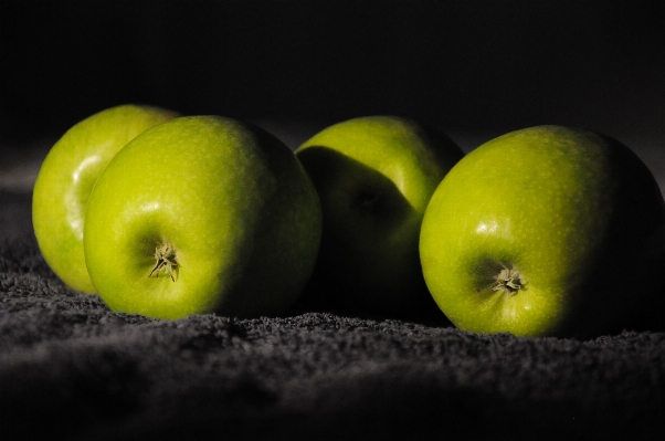 Apple plant photography fruit Photo