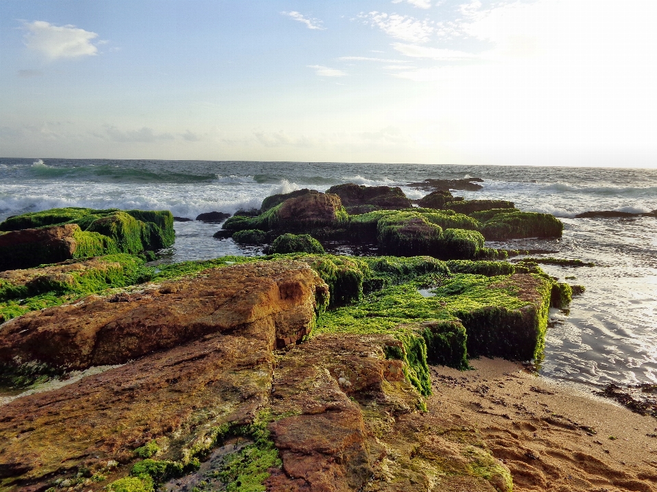 ビーチ 風景 海 海岸