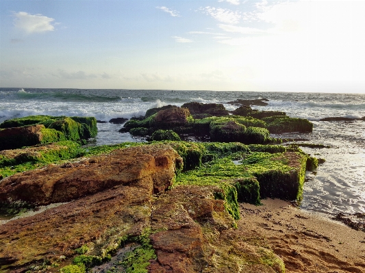 Beach landscape sea coast Photo