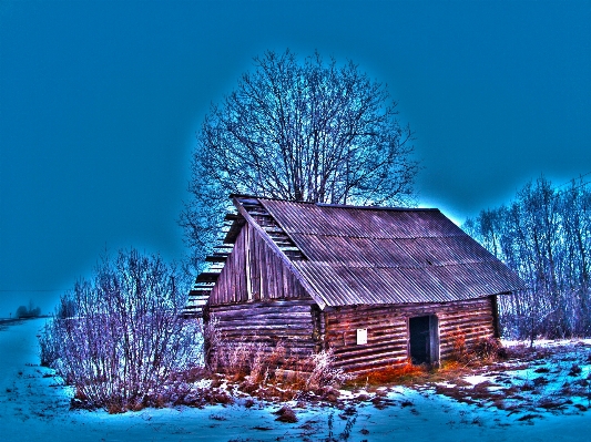 Foto Paesaggio albero natura foresta