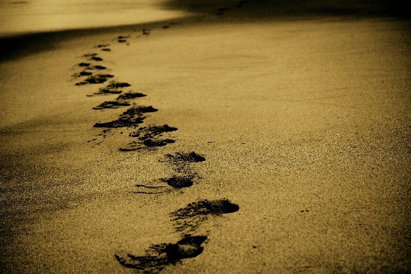 Hand beach sea coast Photo