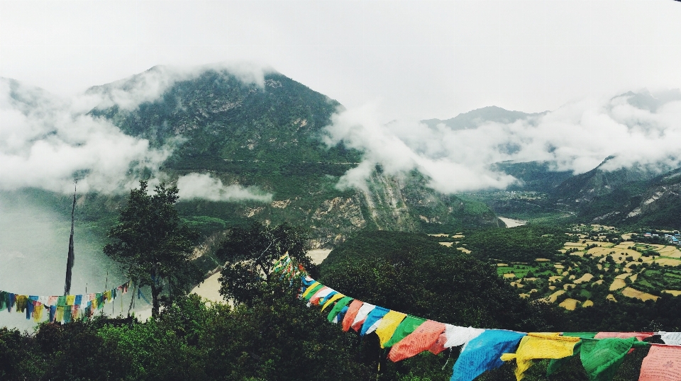 景观 自然 山 风