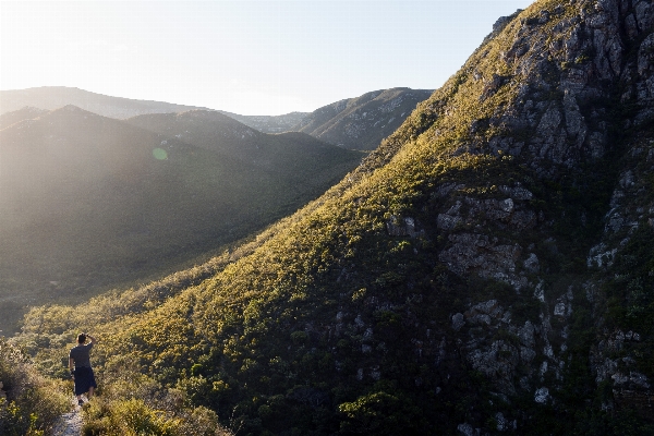 Landscape nature forest rock Photo