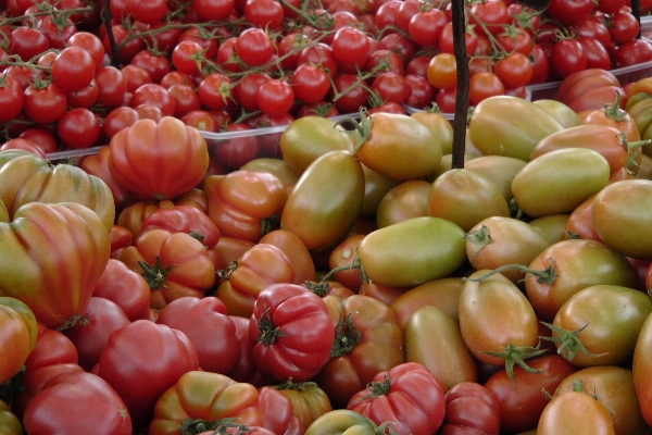 Foto Planta fruta maduro
 alimento