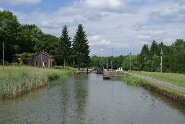 Water forest lake river Photo