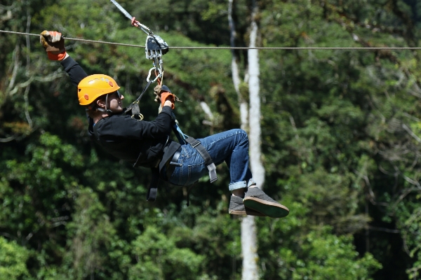 Foto Alam hutan rock orang