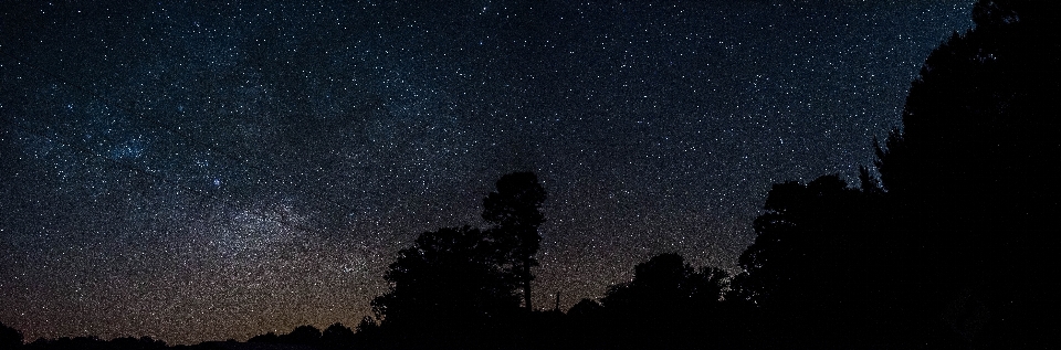 Alam hutan berpendar langit