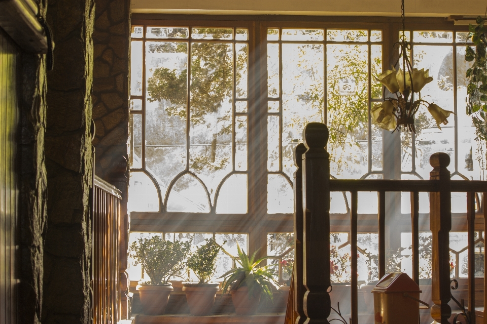 Architecture wood house interior