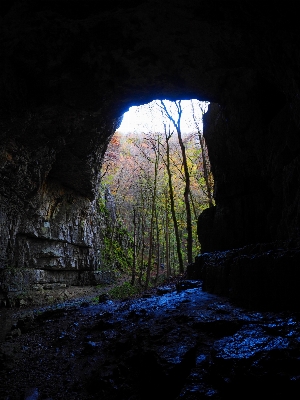 Wald rock licht pfad Foto