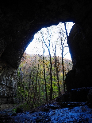 Natur wald rock pfad Foto