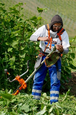 Man lawn flower crop Photo