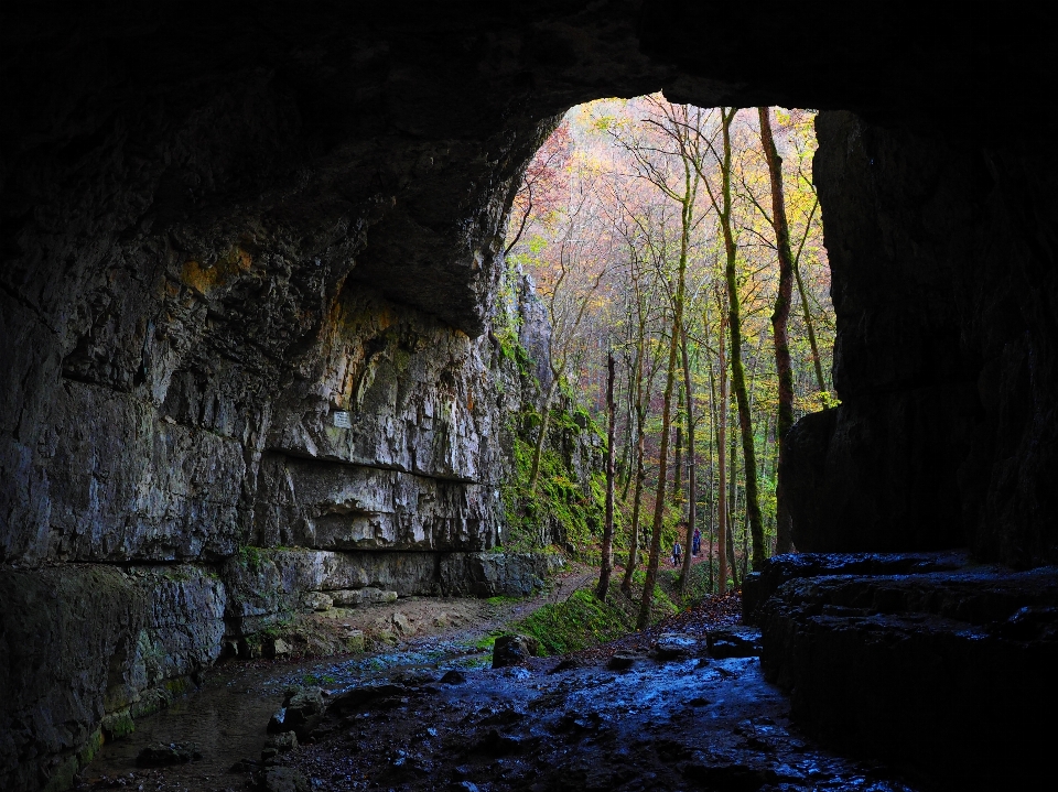 Forêt rock piste aventure