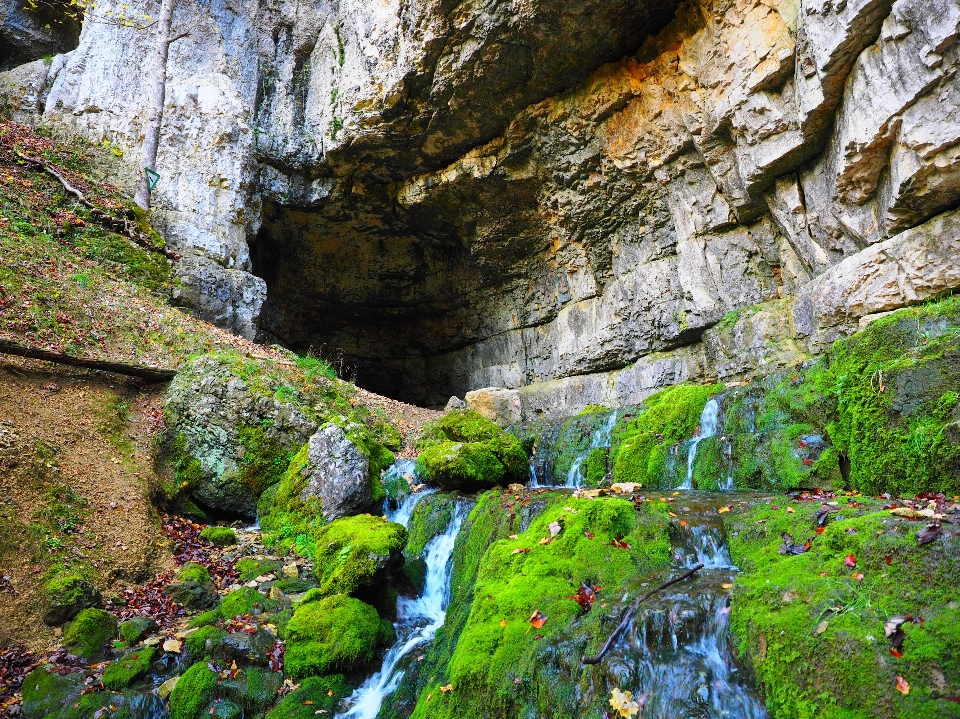 Eau nature rock fleur