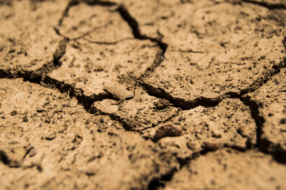 Sand rock texture dry