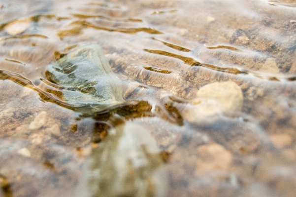 Water nature sand rock Photo