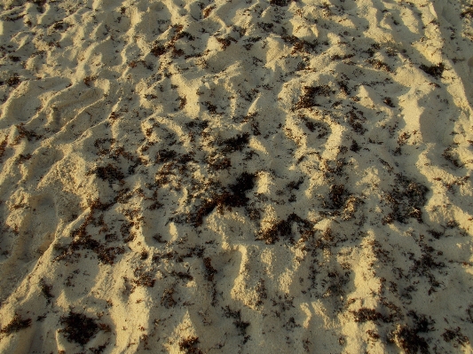 Photo Plage sable rock texture