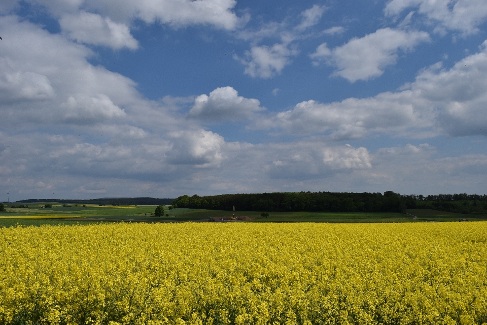 Landscape nature grass horizon