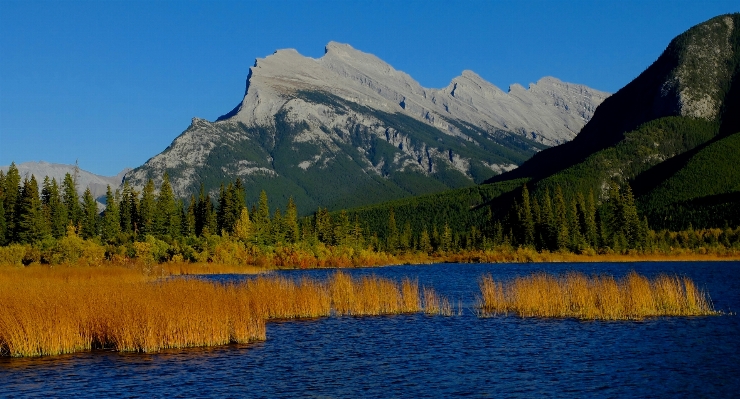 Landscape water nature wilderness Photo