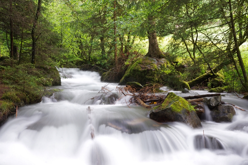 Wasser natur wald wasserfall