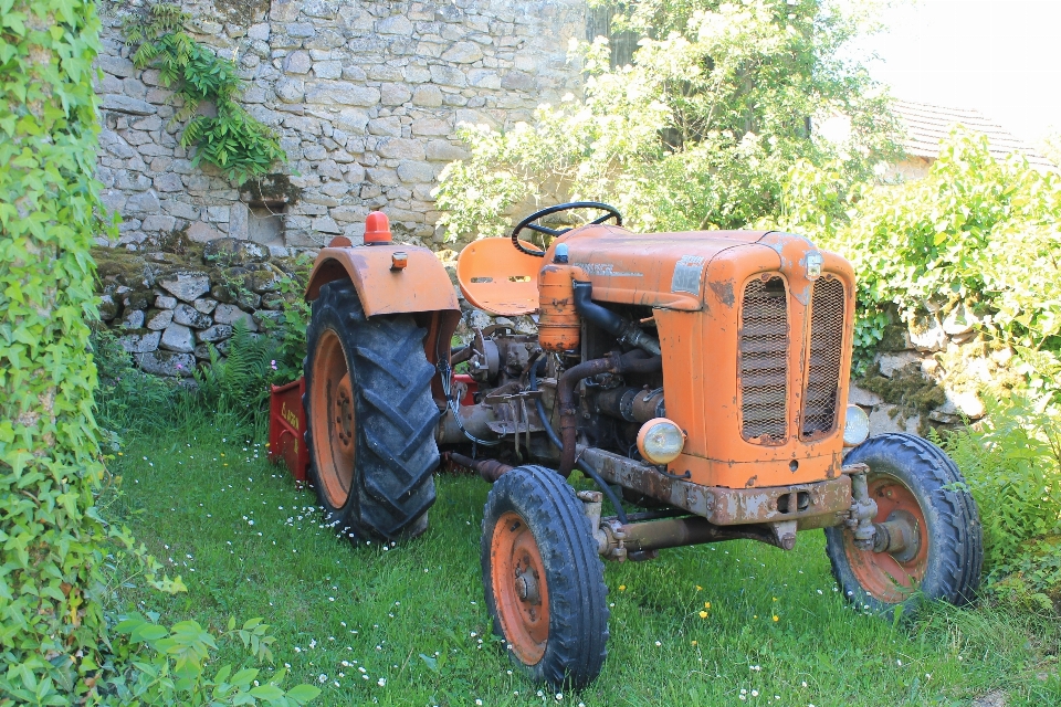 Tractor field lawn france