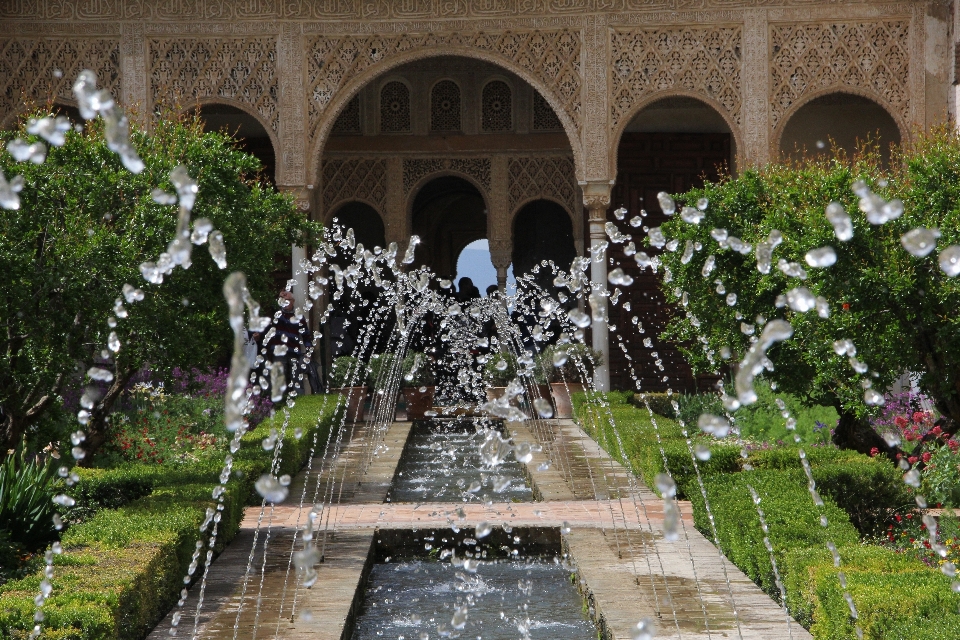 Agua flor palacio arco