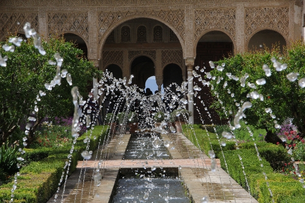 Foto água flor palácio arco