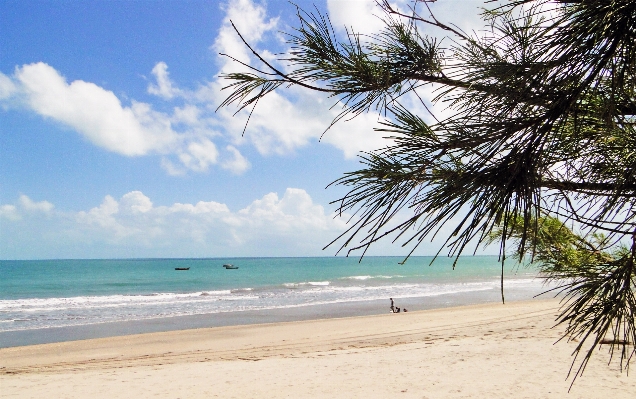 Beach landscape sea coast Photo