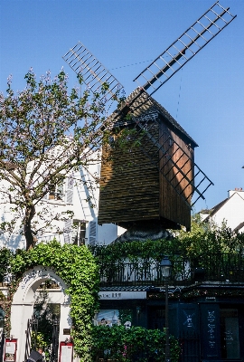 Tree architecture house town Photo