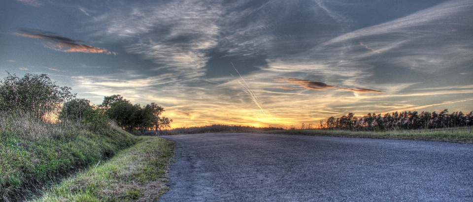 Landscape nature path grass