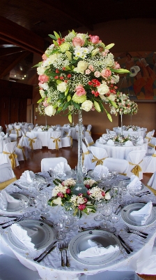 Table nature blossom plant Photo