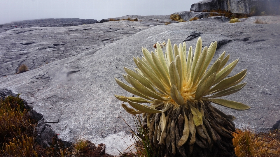 Paysage eau nature rock