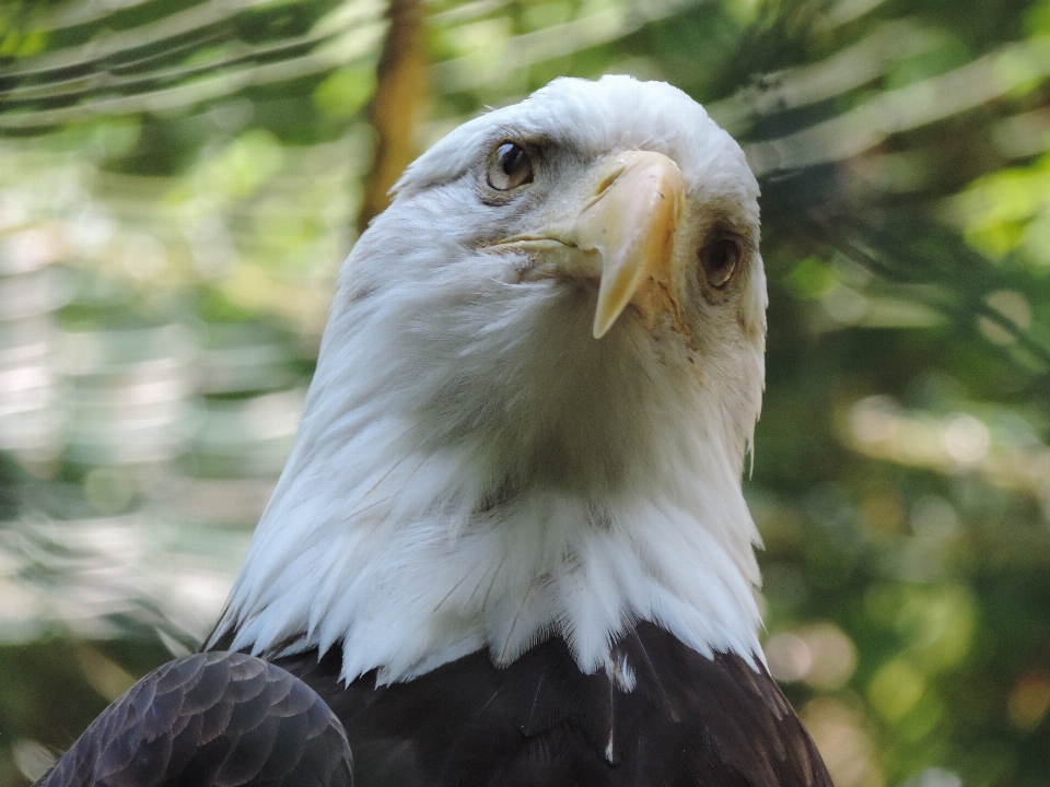 鳥 羽 野生動物 動物園