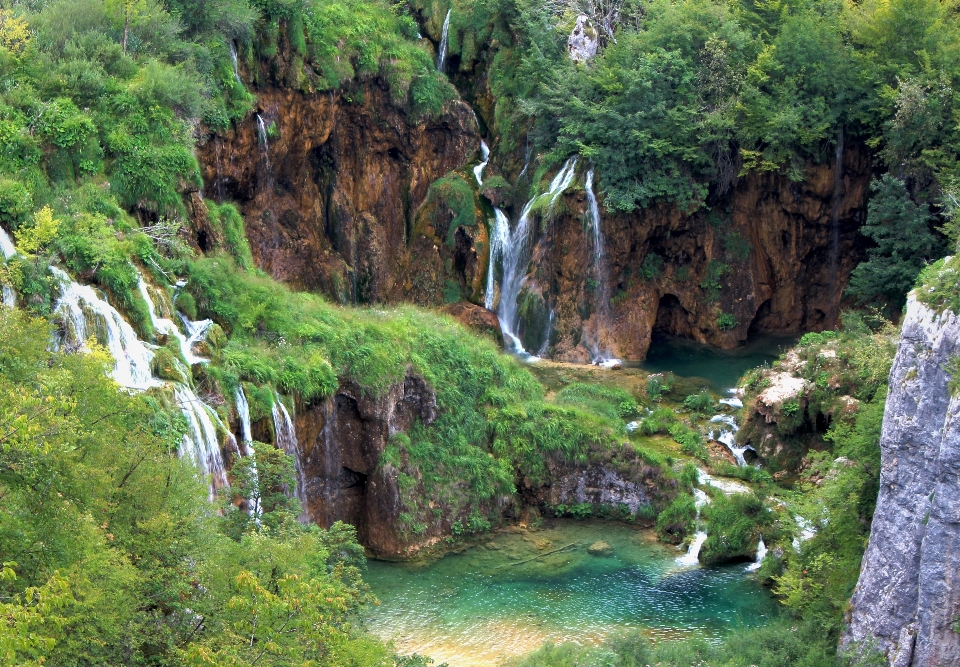 Paysage arbre eau nature