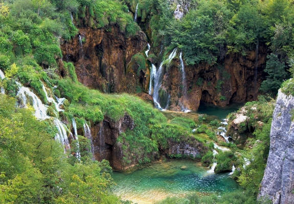 Landscape tree water nature Photo