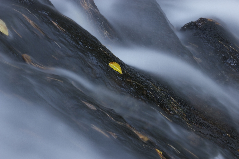 Agua naturaleza frío hoja