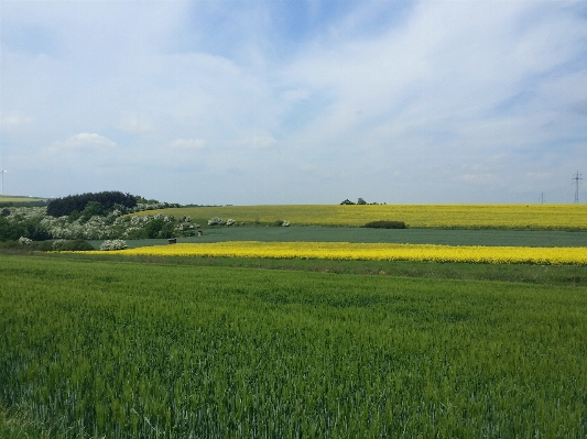 Landscape nature grass horizon Photo