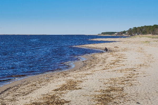 Work man beach sea Photo