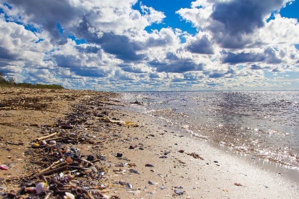 Beach landscape sea coast Photo