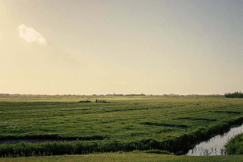 Paisagem natureza grama horizonte