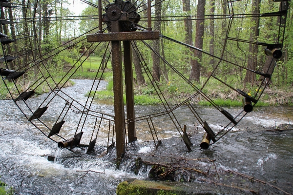 Water swamp wood wheel Photo