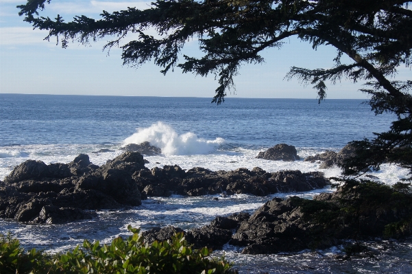 Foto Pantai lanskap laut pesisir